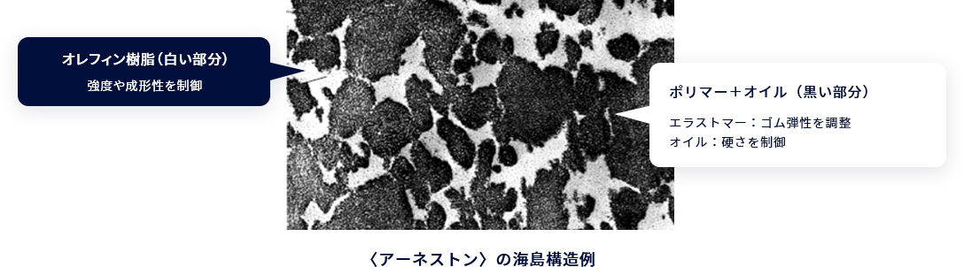 図〈アーネストン〉の海島構造例