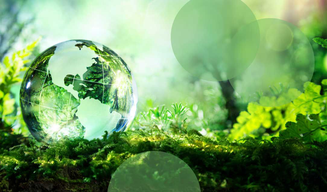 Glasglobus, der die Erde darstellt, ruht auf üppigem grünem Moos in einem lebendigen, sonnenbeschienenen Wald, symbolisiert globale Nachhaltigkeit und Naturschutz.