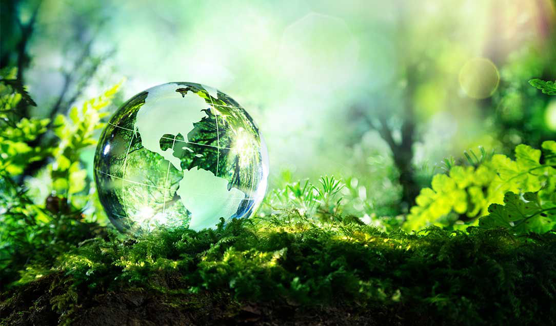 Discover the people and activities that drive sustainability at Kuraray