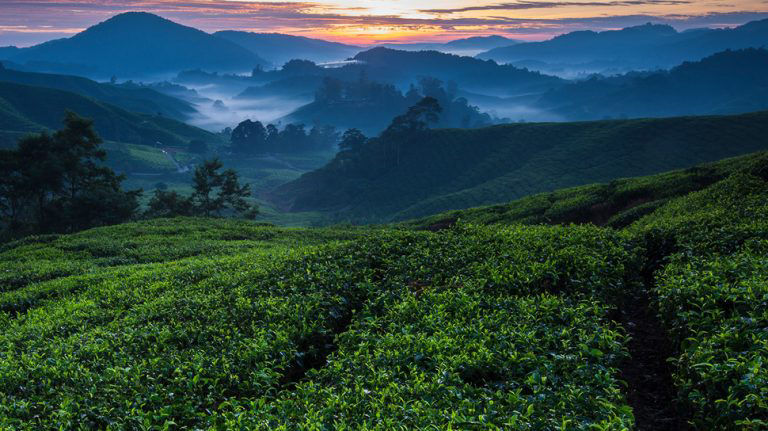 Mountain view