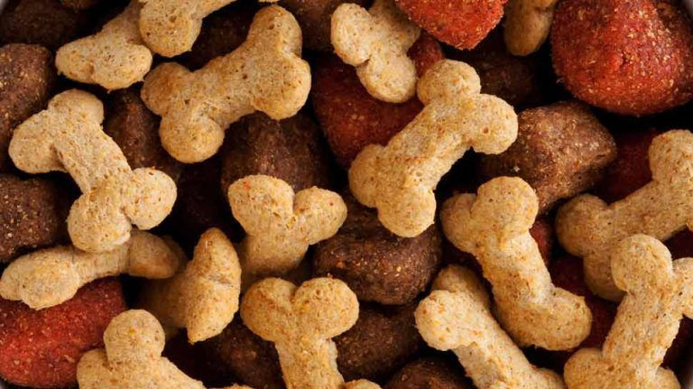 Trockenfutter für Hunde 