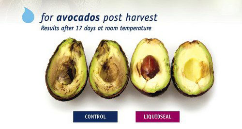 Maintaining quality and flavour and reducing packaging waste