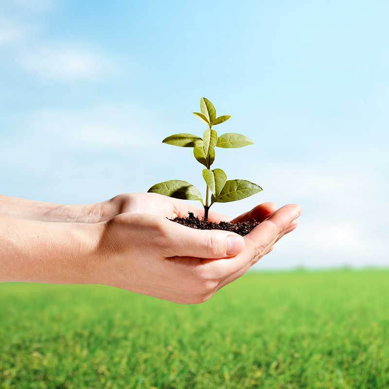 Erfahren Sie mehr über unser Product Stewardship