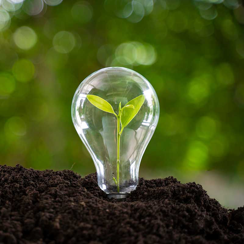 Erfahren Sie mehr über unsere Nachhaltigkeitsstrategie: Planet