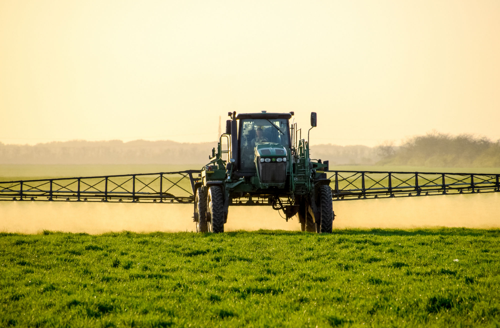 Tractor with high wheels is making fertilizer on young wheat. The use of finely dispersed spray chemicals. Tractor on the sunset background.