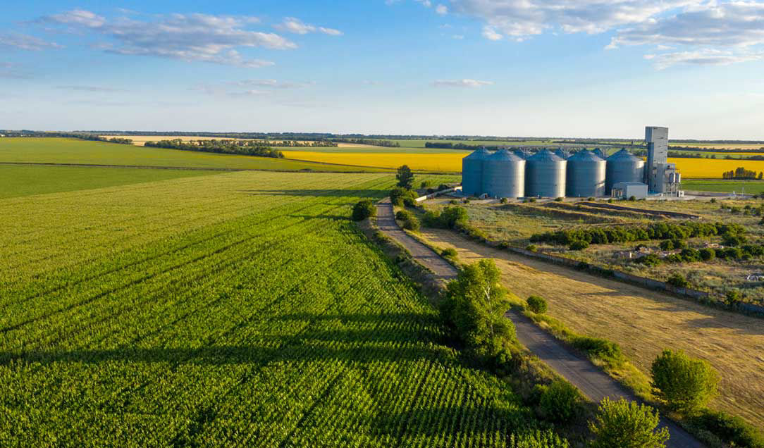 Panoramic view of an agricultural field with an almost cloudless blue sky. In the background is an industrial farming facility.