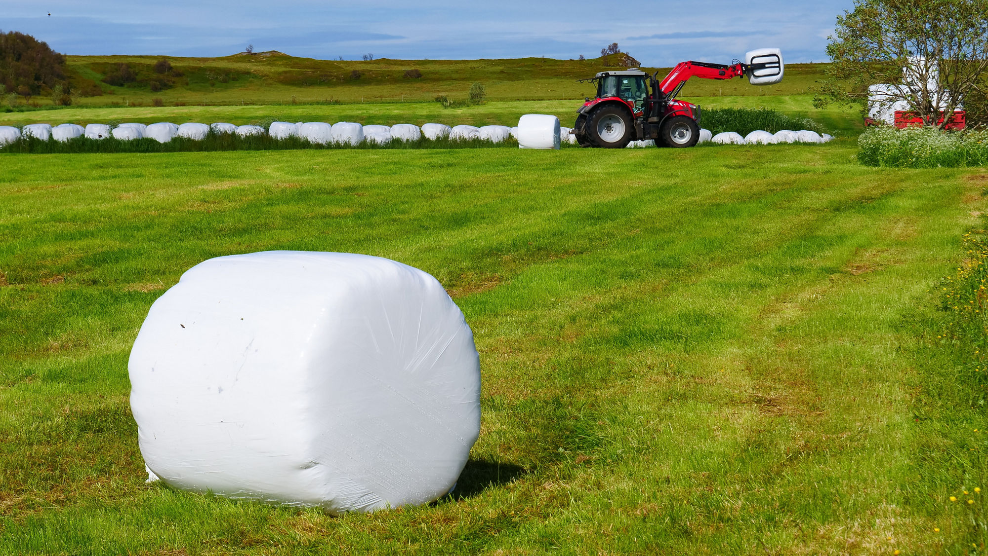 In Folie verpackte Rundballen auf einem Feld. Im Hintergrund ist ein Trecker zu sehen.