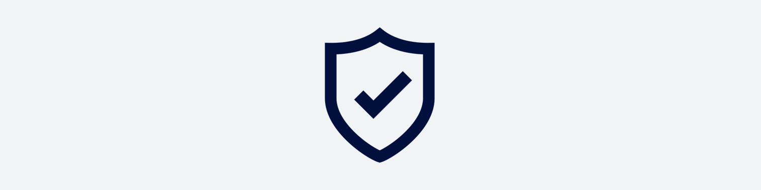 Icon of shield