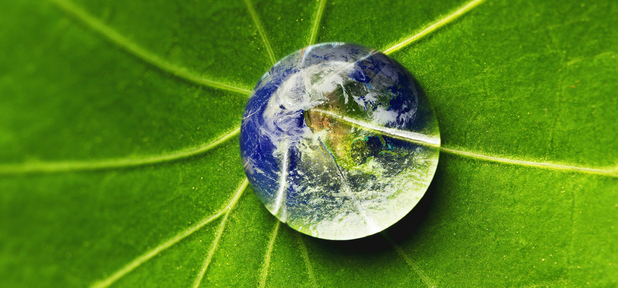 Focus on people and the planet