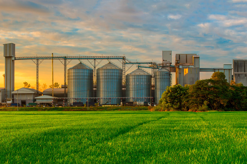 Healthier crops and better harvests