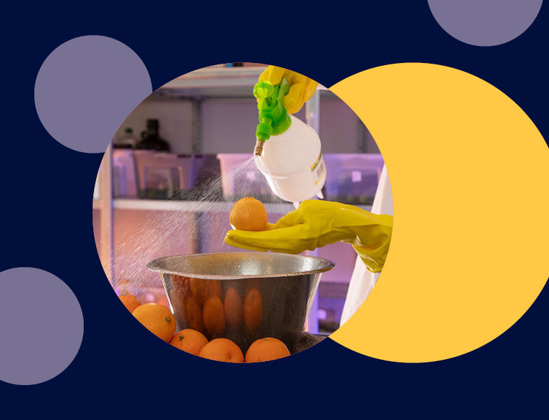 We keep fruit and vegetables fresh for longer and avoid waste throughout the supply chain