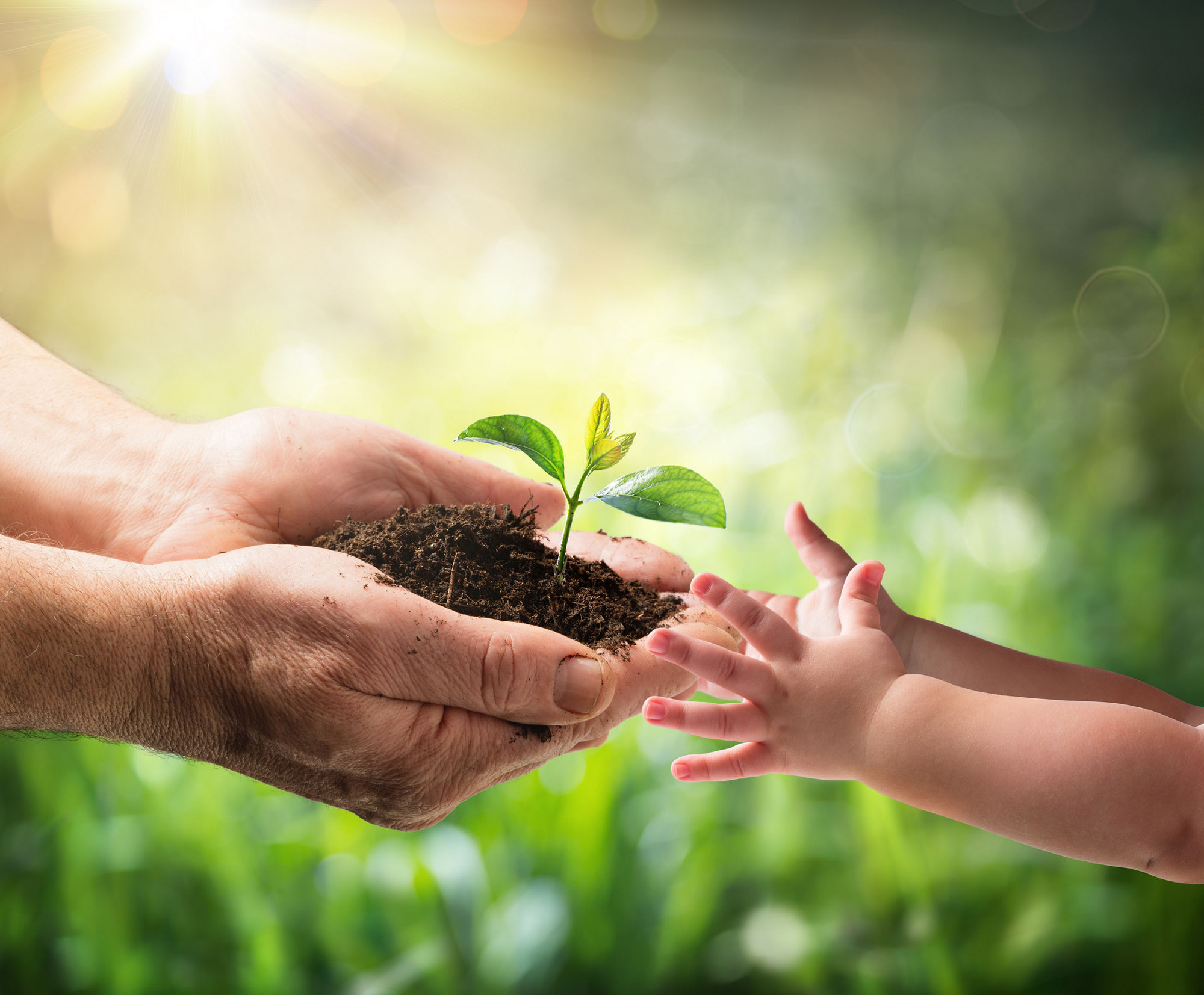 Sustainability Long-term Vision