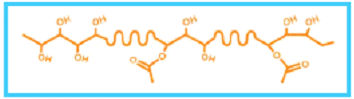 Kuraray EXCEVAL™, eine hydrophob Ethylen-modifizierte PVOH-Version (siehe unten):