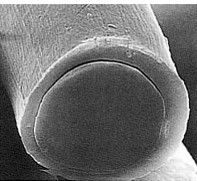 シャインアップ®