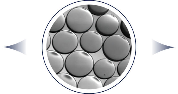 PVA hydrogel microcarriers 