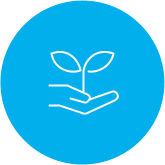 Environment