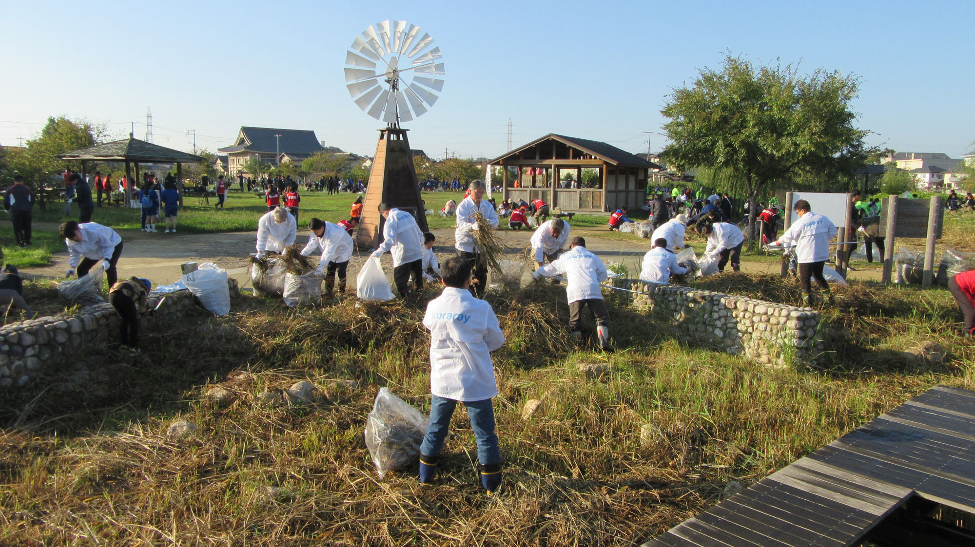 Local Park and River Cleanup Activities