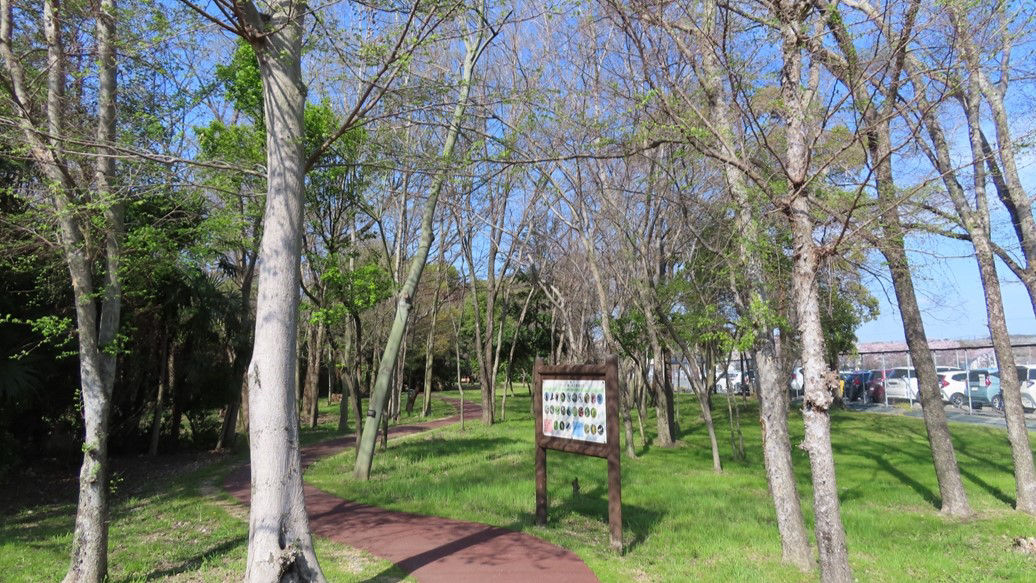 小鳥の森 全景