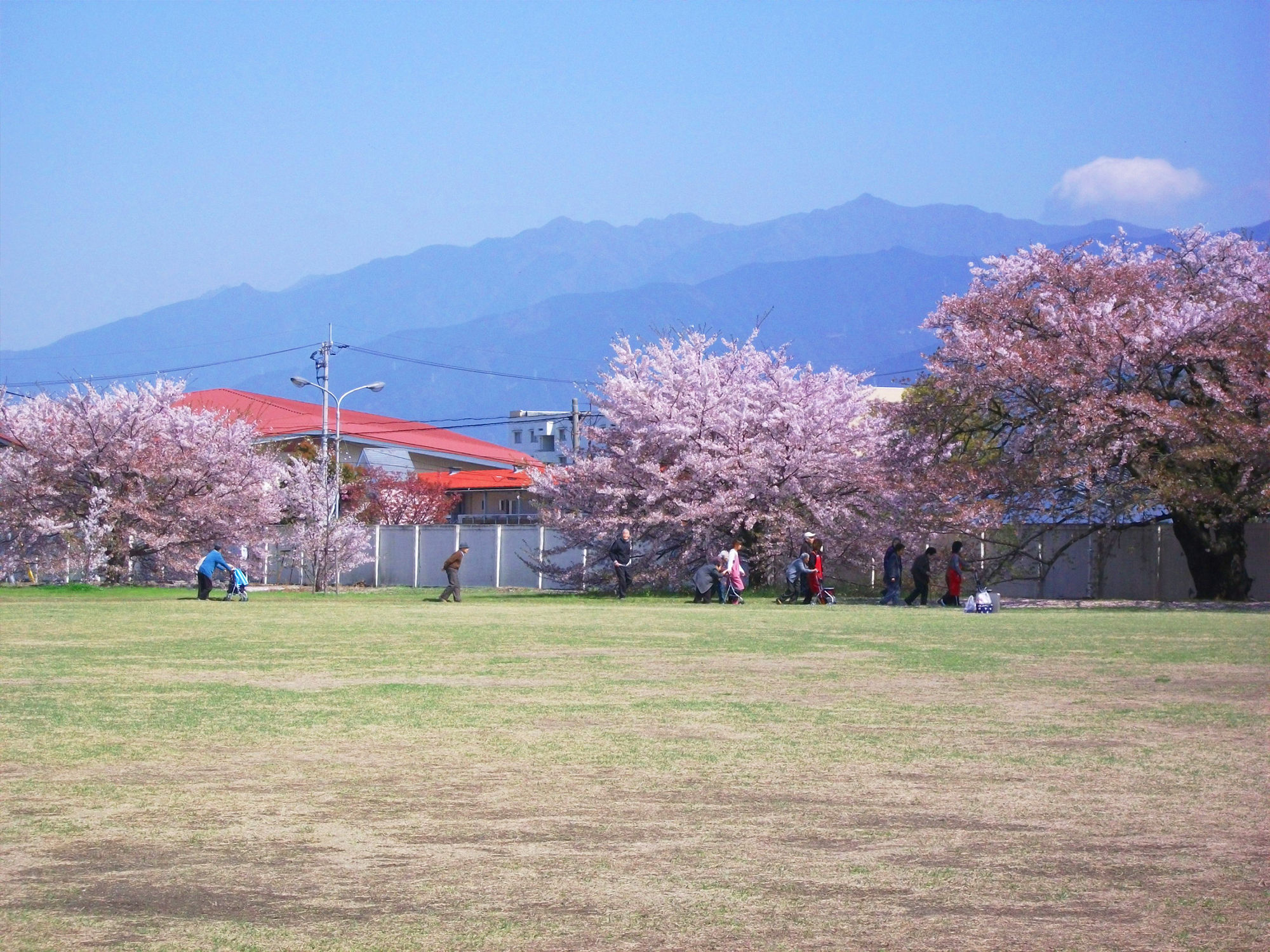 写真 満開の桜と遠くに広がる山並み 花見を楽しむ人々