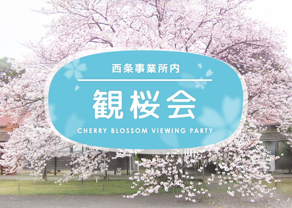 西条事業所内 観桜会