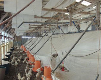 さやか®　使用イメージ（採光型温室）