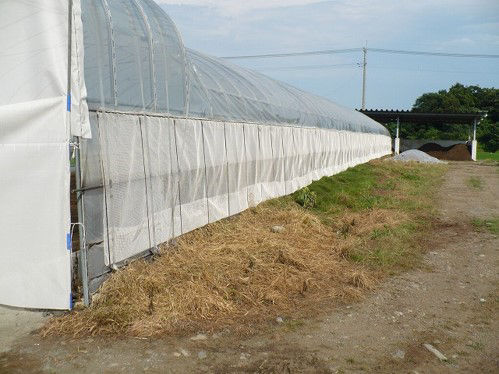 Ammonia odor decomposition mesh Installation Image (greenhouse)