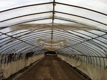 さやか®　使用例（堆肥舎　温室内側）