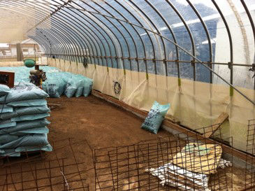 Ammonia odor decomposition mesh Installation Image (inside of greenhouse)