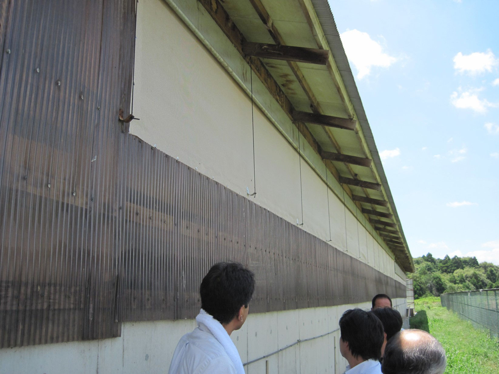Ammonia odor decomposition mesh  Installation Image (Poultry house)