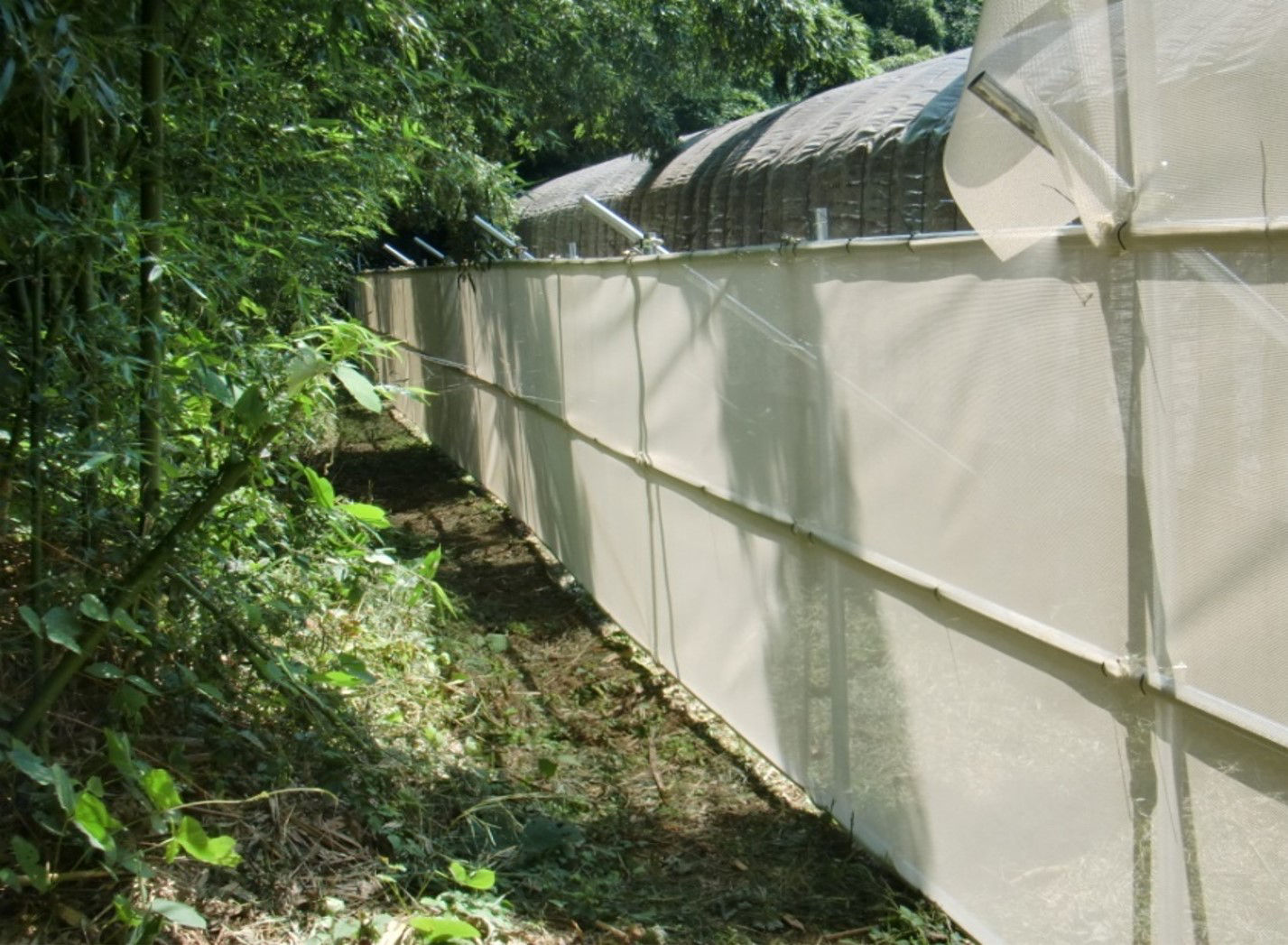 さやか®　使用例（フェンス型）