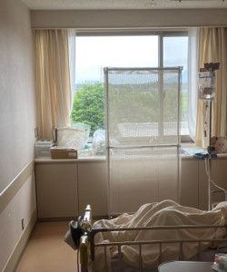 可動式パーテーションタイプ。病院の一室に設置で生活臭を軽減。適度に透けて室内が明るい。