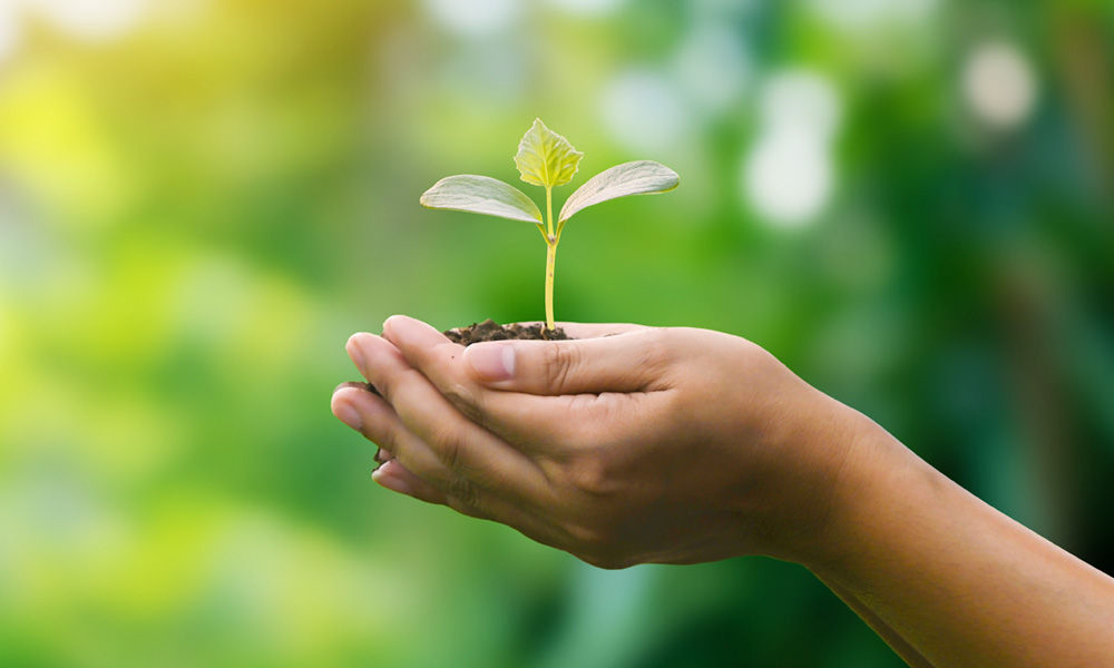 sustentabilidad_teaser