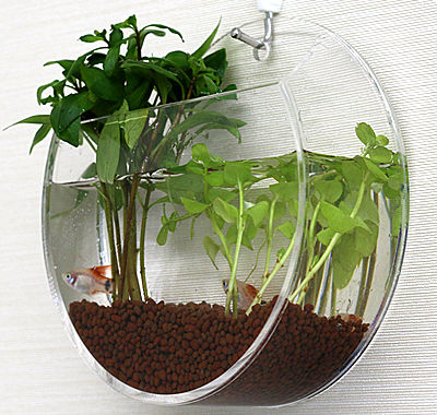 Photo: Acrylic aquarium