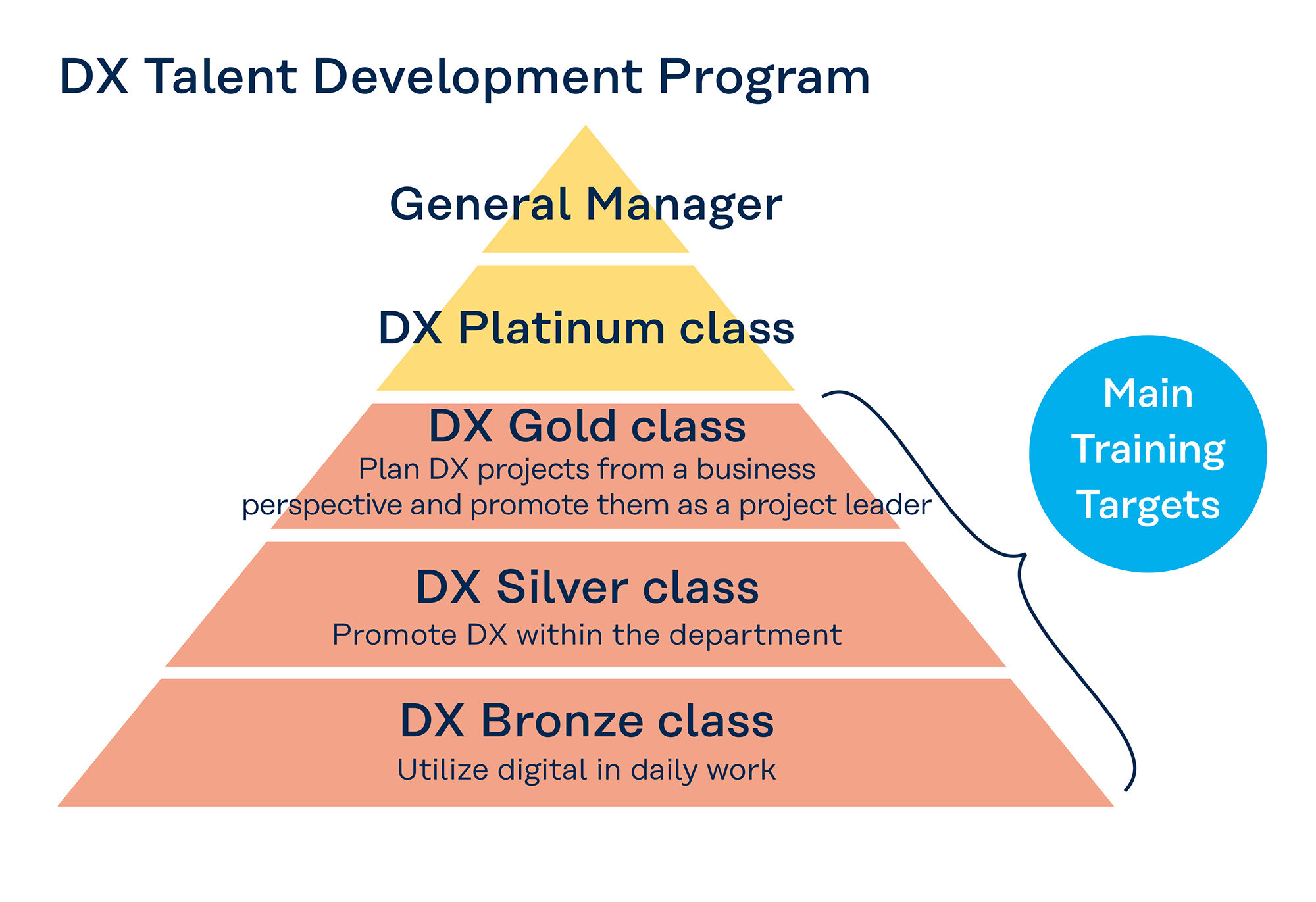 DX Talent Development Program