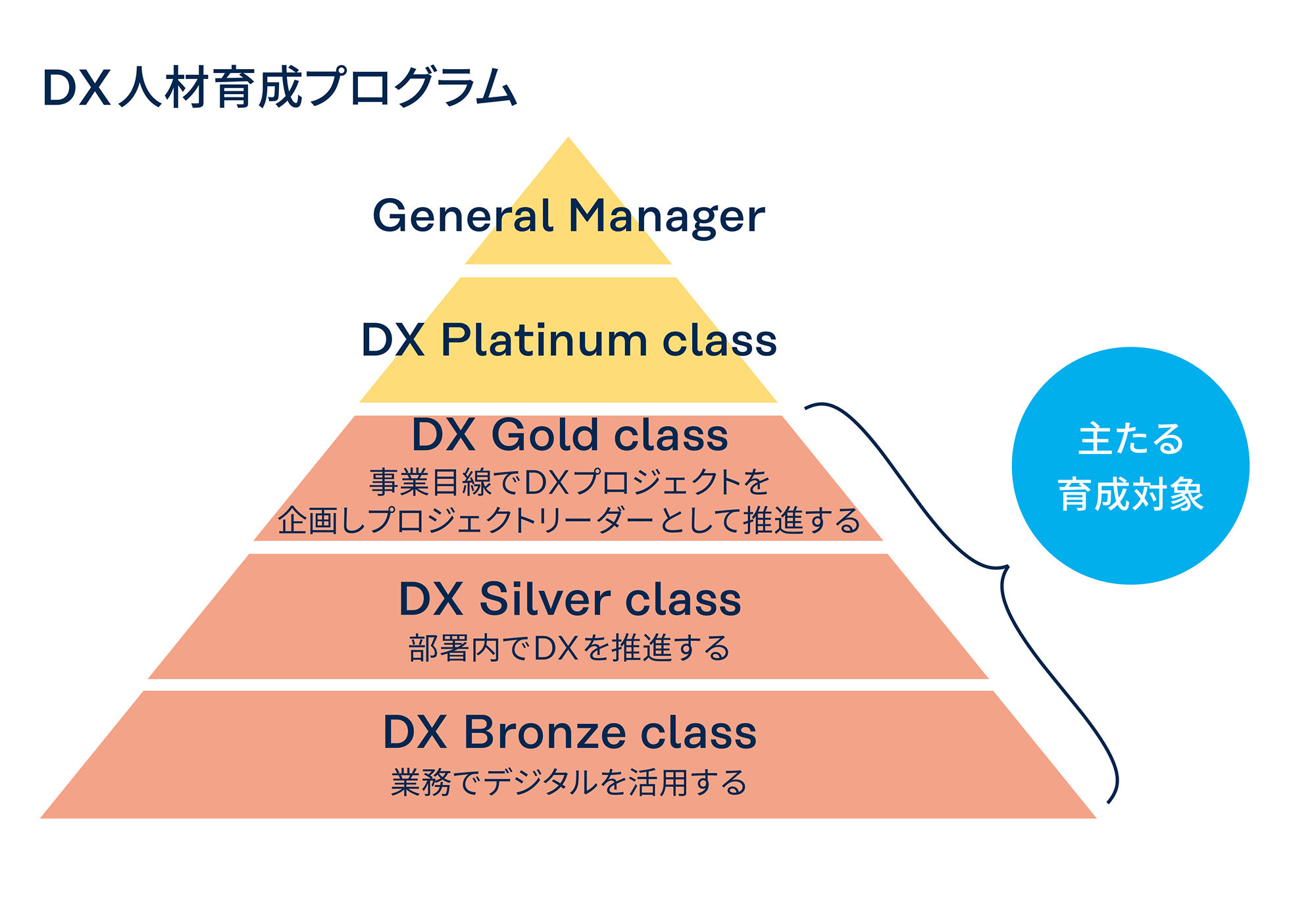 図 DX 人材育成プログラム