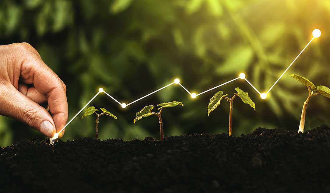 Hand_planting_a seed in the ground