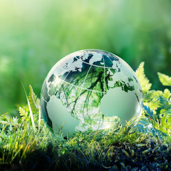 サステナビリティ