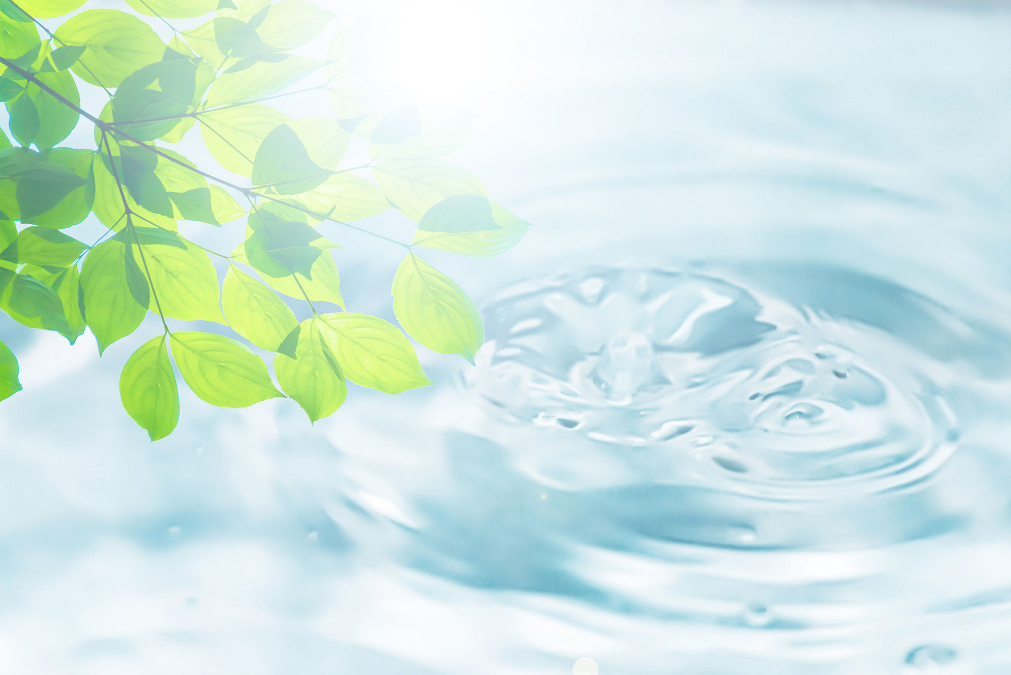 課題に寄り添う、水処理のパートナー