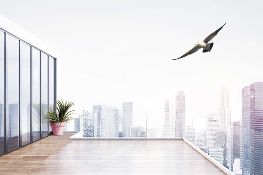 SentryGlas BirdSecure®