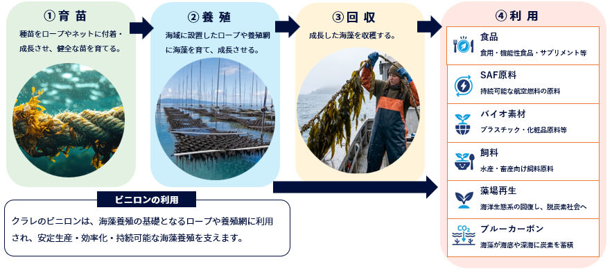 クラレのビニロンは、海洋養殖の基礎となるロープや養殖網に利用され、安定生産・効率化・持続可能な海藻養殖を支えます。