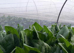 Agricultural materials