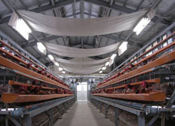 Environmental improvement