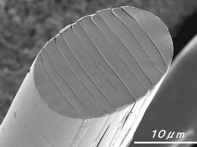 〈WRAMP®〉繊維断面（電子顕微鏡写真）